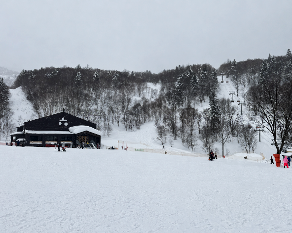 快樂滑雪日(暫定札幌國際)→外用晚餐