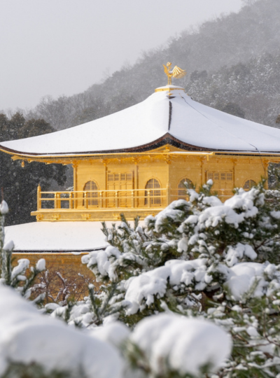 京都觀光 (稻荷大社千鳥居,嵐山,雪的金閣寺,京都站前逛逛吃吃買買)