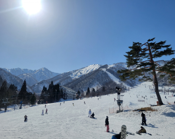 飛馳雪原,感受自由滑行的極致樂趣
