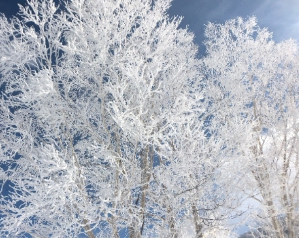 繼續滑雪 (戶狩滑雪場)
