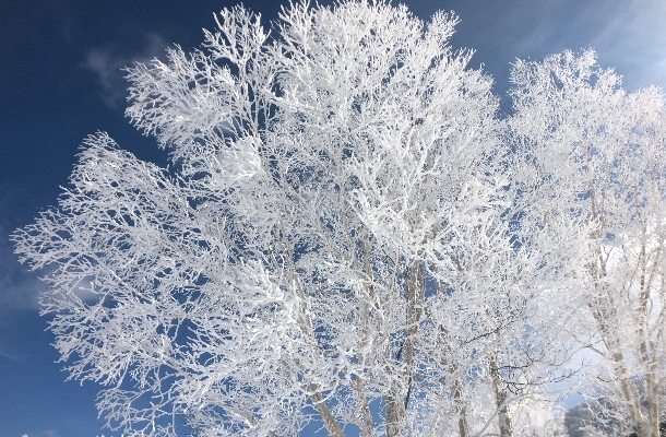 繼續滑雪