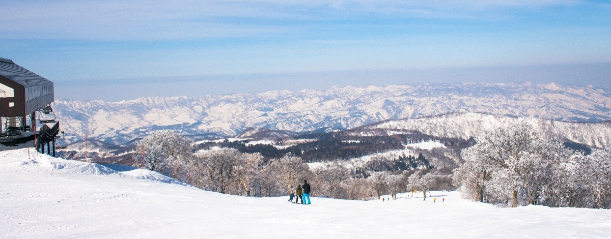 沼田→野澤溫泉滑雪場(領取裝備)→開始滑雪吧!!
