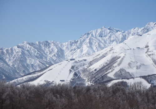 從第一片雪花開始,我們的滑雪冒險旅程就此展開(團體教練課程5小時)