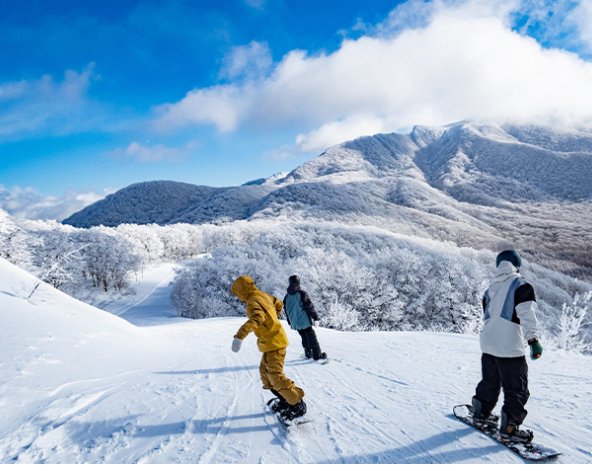 從新手到高手,滑雪成長之路痛且快樂