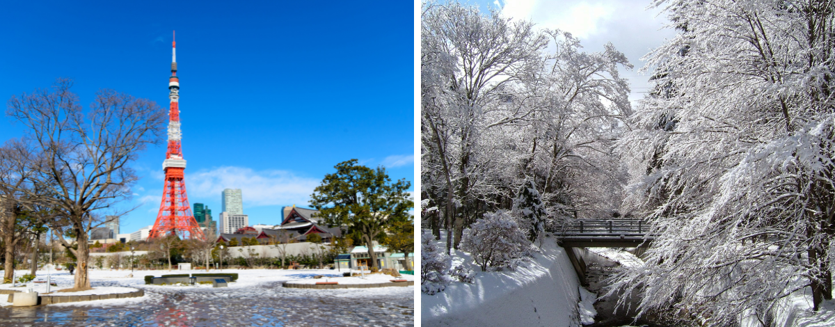 台北→東京→燒肉放題晚餐→超市購物趣→輕井澤