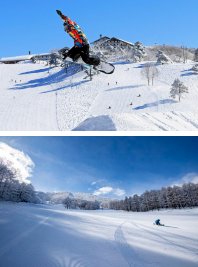 斑尾滑雪→前進白馬
