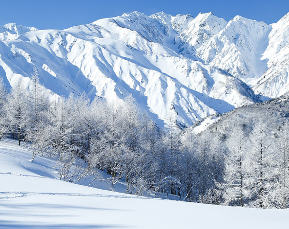 白馬岩岳(暫定)