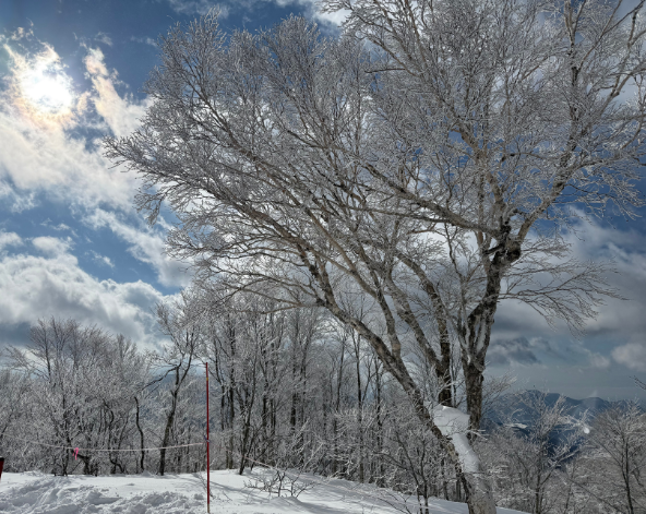 野澤溫泉