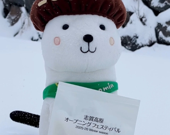 志賀高原滑雪