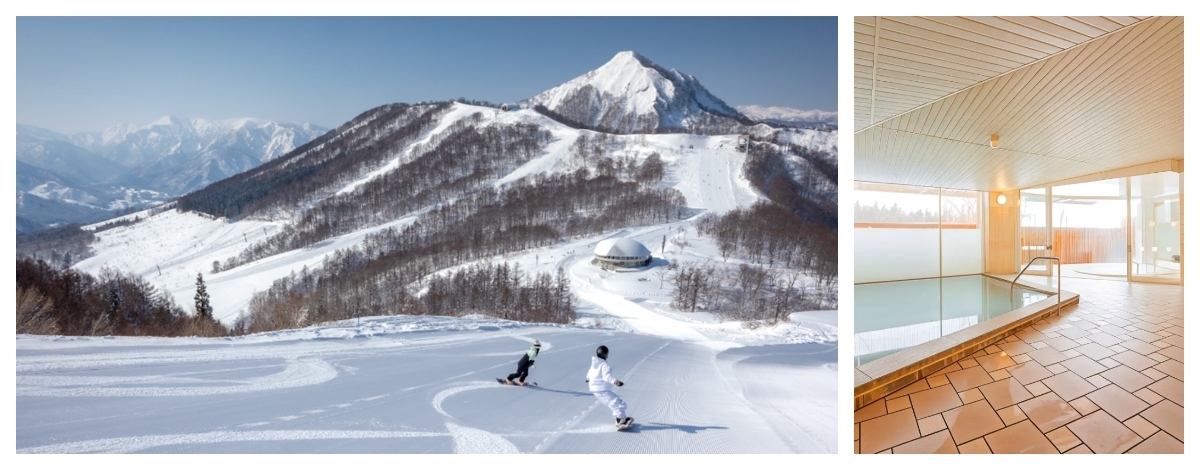 台北→成田機場→包車直達越後湯澤→舞子高原滑雪度假村check in