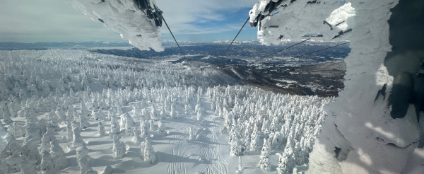 休息日、大家可以一起前往 藏王樹冰、銀山溫泉、天童溫泉觀光 (或可以前往雪場繼續滑雪)