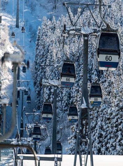 度假村早餐→雪場集合→分組上課 (五小時課程)
