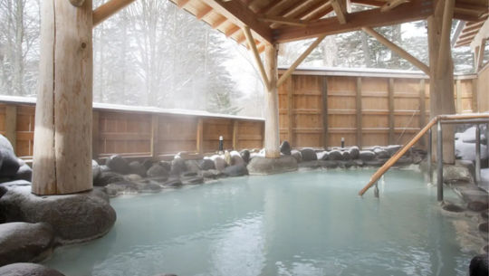 奧日光高原飯店