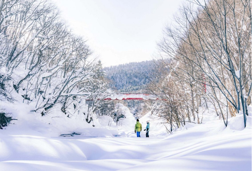 #9CLUB系列。粉雪暢滑練功聖地、札幌逛街、小樽運河、定山溪溫泉，充實雪國生活9日
