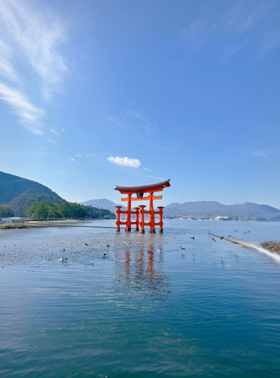 京都觀光 (稻荷大社千鳥居，嵐山，雪的金閣寺，京都站前逛逛吃吃買買)