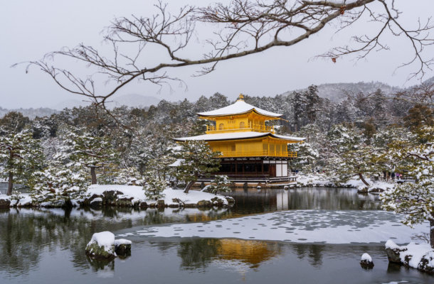 京都觀光 (稻荷大社千鳥居，嵐山，雪的金閣寺，京都站前逛逛吃吃買買)