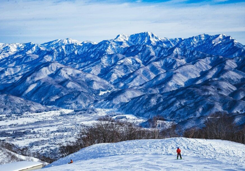 感受雪地飛馳的快感，滑出速度與自由