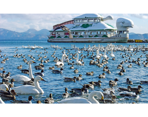 休息日&豬苗代周邊觀光