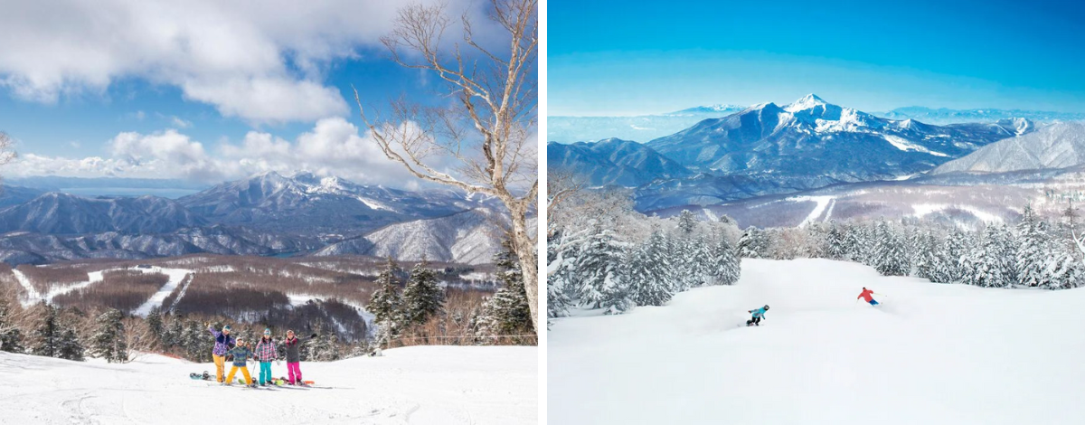 集合前往雪場→分組團體上課（教練課1:6）