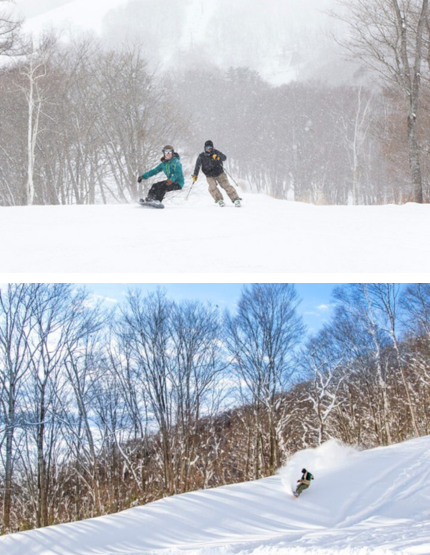 重新上板，找回雪感