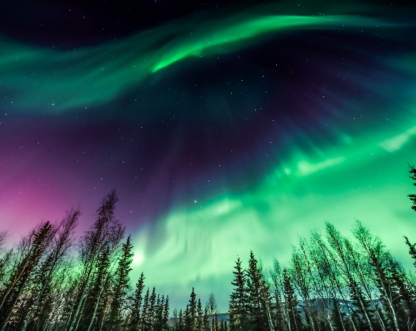 西雅圖→費爾班克斯→SKILAND滑雪熱身→買黃金蟹回民宿料理→尋找極光