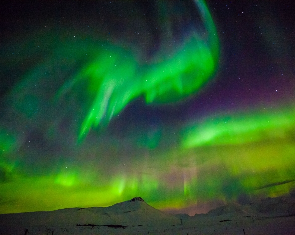 沿途參觀世界級工程-阿拉斯加輸油管→SKILAND滑雪→買阿拉斯加帝王蟹回民宿料理→尋找極光