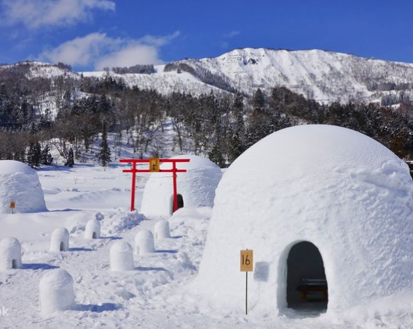 今天來征服雪道!!! (想休息的朋友也可以周邊觀光、地獄谷野猴公苑、飯山雪屋村、小布施町)